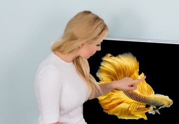 MAGNETYCZNA OSŁONA NA KALORYFER 60x60 RYBA FOTOTAPETA