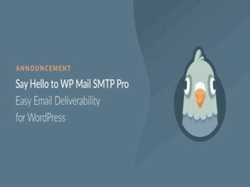 Wtyczka WP Mail SMTP Pro