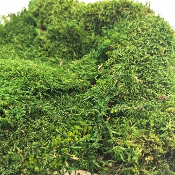 500 г мохового наполнителя FLAT для мохового мха