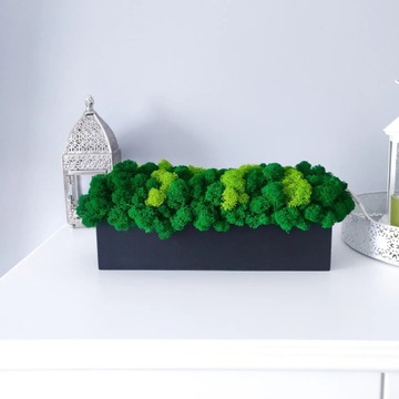 Хроботек в деревянном горшке, 30 см, МАТТОВЫЙ ЧЕРНЫЙ