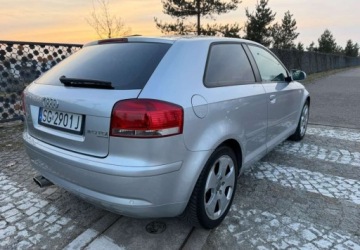 Audi A3 8P Hatchback 3d 2.0 TDI PD 140KM 2005 Audi A3 3-drzwiowe Audi A3 3-drzwiowe 2.0 TDI Attraction 2.0 Diesel 140KM, zdjęcie 15