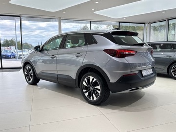 Opel 2020 Opel Grandland X Elite / 1 właściciel / Salon Pols, zdjęcie 1
