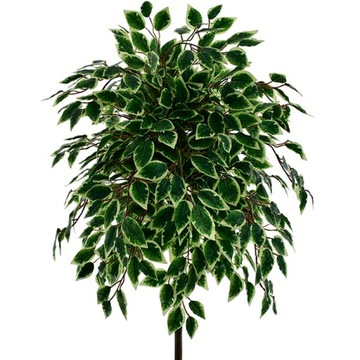 ИСКУССТВЕННЫЕ ДЕРЕВЬЯ ЦВЕТЫ ФИКУС БЕНДЖАМИНА ЦВЕТОЧНЫЙ ГОРШОК ДЕРЕВО ЛИСТЬЯ НОМЕР В ОТЕЛЕ 135