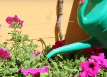 Aqua Control C2140 Постоянная вода для ваших растений