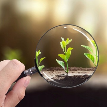 КЛАССИЧЕСКАЯ РУЧНАЯ ЛИНЗА С ЛУПОЙ