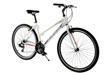 Rower cross 28 Kands STV-700 D19 biało-granat 2022