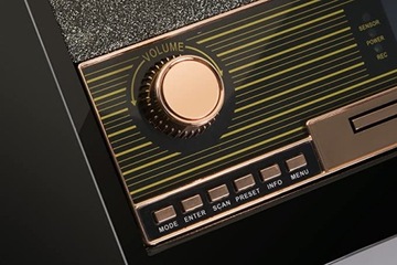 Сетевое радио DAB+, FM+ЗАПИСЬ Technaxx TX-102