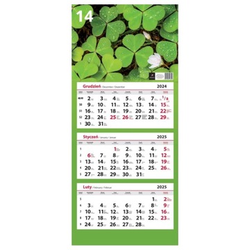 ТРЕХСЕКЦИОННЫЙ НАСТЕННЫЙ КАЛЕНДАРЬ 2025 Год смешанного дизайна