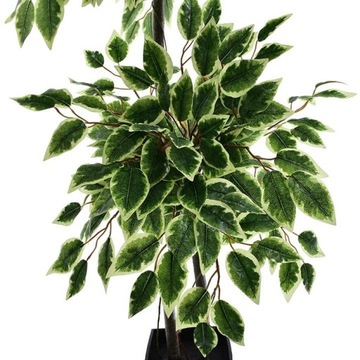 SZTUCZNE DRZEWKO FIKUS ROŚLINA KOMPOZYCJA DEKORACJA DOM BIURO PREMIUM