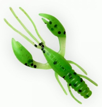 Fanatik Twister Rak Raider 2.2