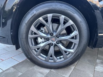 Cupra Terramar SUV 1.5 eTSI 150KM 2026 Cupra Terramar 1.5 eTSI 150 KM 7-biegowa automatyc, zdjęcie 11