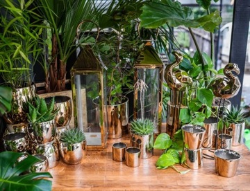 ЦИЛИНДР ПРЕМИУМ ЗОЛОТОЙ ЦВЕТОЧНЫЙ ГОРШОК 8x8 СМ, ЗОЛОТОЙ ДИАМЕТР