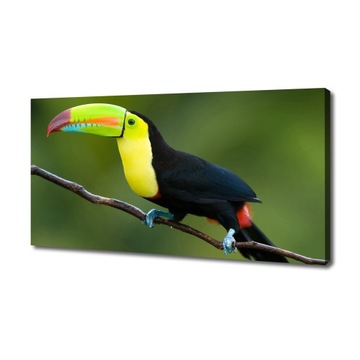 Foto obraz ze zdjęcia do salonu Tukan 140x70 cm