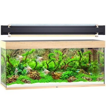 JUWEL Rio 240 Akwarium osprzęt 1x MultiLux LED 42W
