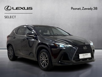 Lexus NX II SUV 350h 242KM 2022 Lexus NX 350h Business AWD II (2021-) Lexus NX 350, zdjęcie 7