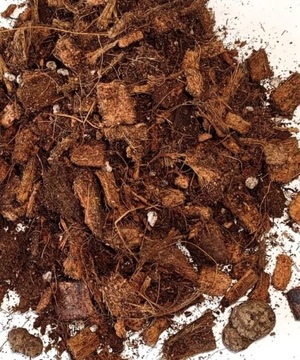 Podłoże do Anthurium / Anturium Premium