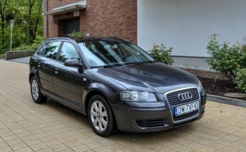 Audi A3 8P Hatchback 3d 1.9 TDI 105KM 2007 Audi A3 Sportback 1,9TDI 2007 r. Bezwypadkowy Panorama 1.9 Diesel 105KM, zdjęcie 5