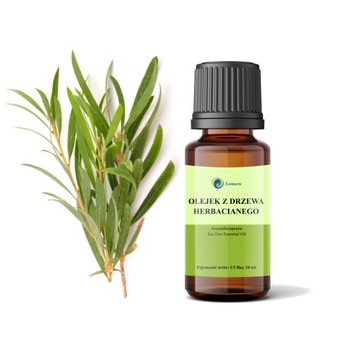 OLEJEK ETERYCZNY Z DRZEWA HERBACIANEGO 10 ML 100 % CZYSTY I NATURALNY