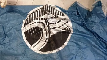 РАЗМЕР КАЙТА ДЛЯ КАЙТЕСЕРФИНГА CABRINHA SWITCHBLADE, 12 ГОДА 2020 ГОДА