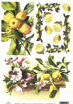 PAPIER RYŻOWY A4 ITD - R432 - owoce