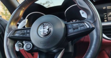 Alfa Romeo Stelvio SUV Facelifting 2.0 Turbo 280KM 2020 Alfa Romeo Stelvio Alfa Romeo Stelvio 2.0 Turbo Veloce Q4 2.0 Benzyna 280KM, zdjęcie 20