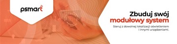 PSMART USB-измерительная розетка белая RM WiFi TUYA