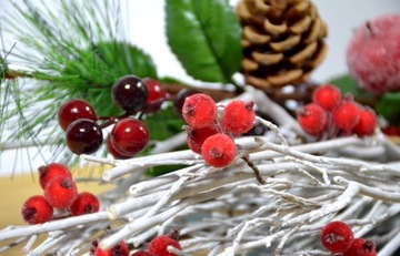 Замороженная шиповник, бордовое вино, ветка из 40 плодов.