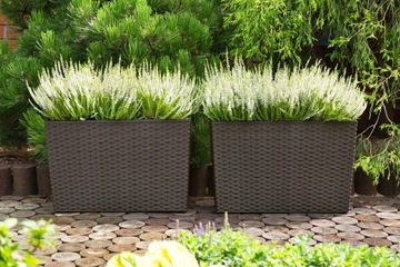 RATO CASE DRC600T umbra патио ящик цветочный горшок