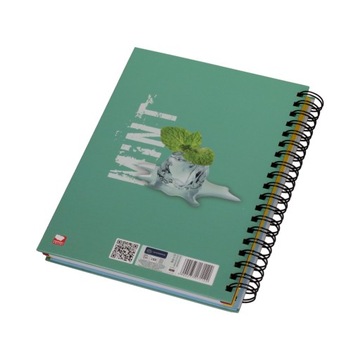 Колобрулион Интердрук B5/160#