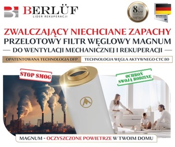 Угольный фильтр 250Magnum дополняет вентиляцию и рекуперацию.