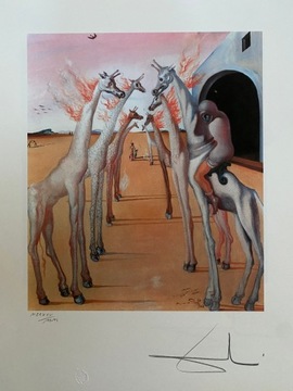 Salvador Dalí"The Flames, They Call,1942" lithography -