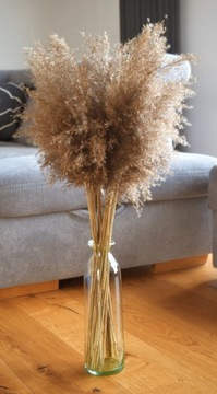 СУШЕНАЯ ТРАВА БОХО НАТУРАЛЬНЫЙ ПУШИСТЫЙ БУКЕТ 80СМ