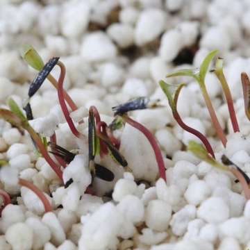 Садоводческий разрыхлитель Perlite 20л, субстрат для агропосевов, средство для укоренения