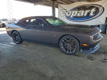 Dodge Challenger III 2023 Dodge Challenger RT Scat Pack 2023 6.4L 6.4 Benzyna 485KM, zdjęcie 4