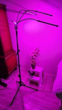 Большая боковая лампа, 4 светодиодных штатива, дистанционное управление, выращивание растений + бесплатно