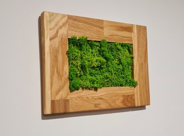 Картина мох Кработек Дубовая рама Картина из мха