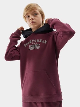 СВИТШОТ С КАПЮШОНОМ 4F ДЛЯ МАЛЬЧИКОВ AW23M651