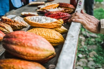 Masło kakaowe nierafinowane spożywcze 200 g, własna produkcja