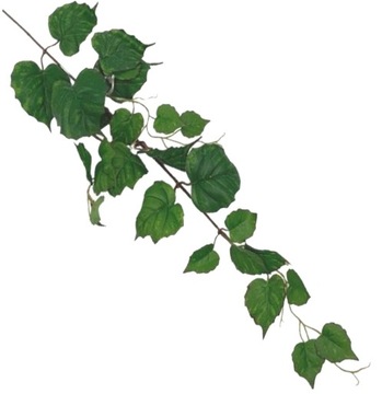 BLUSZCZ GAŁĄZKA BLUSZCZU GREEN 90cm