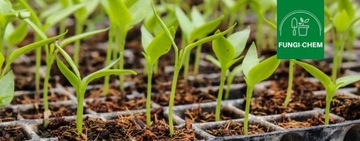 АЗОФОСКА Удобрение для цветов, фруктов и овощей, 25 кг