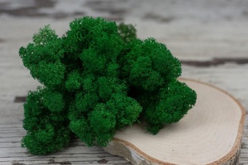 Олений мох темно-зеленый 100г.