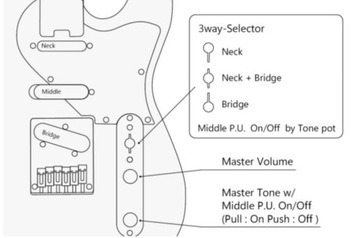 Электрогитара Aria 615 MK2 BKDM Telecaster