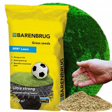 Trawa BARENBRUG RPR LAWN BAR POWER Play&Sport 15 KG
