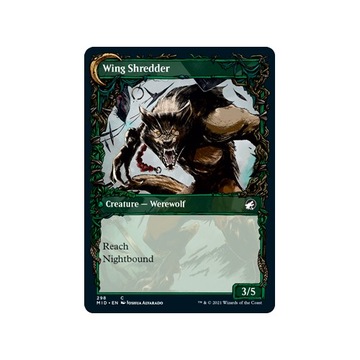 MTG 4x Bird Admirer *Витрина*