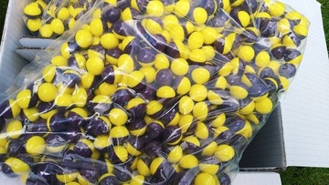Kulki Paintball NOP 500szt EXTRA Świeże Jakość !!