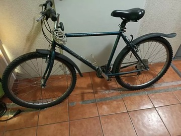 ROWER TREK 820