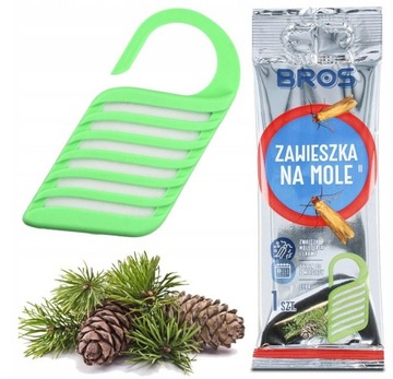 Bros ZAWIESZKA na Mole Cedrowa do 6 MIESIĘCY