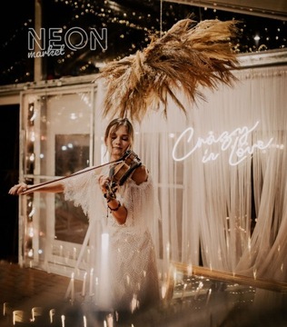 Crazy in love napis LEDOWY LED Neon LEDON