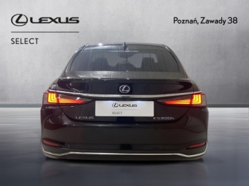 Lexus ES VII (XV70) Sedan 300h 218KM 2019 Lexus ES 300h Elegance Lexus ES 300h Elegance, 2.5, zdjęcie 8