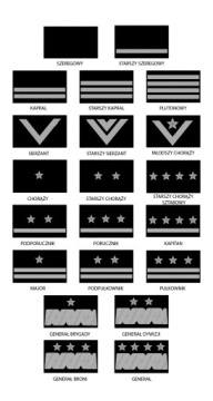 Звание КАПРАЛ. Военный знак на униформе для круглогодичного ношения US-22, окантовка цвета хаки